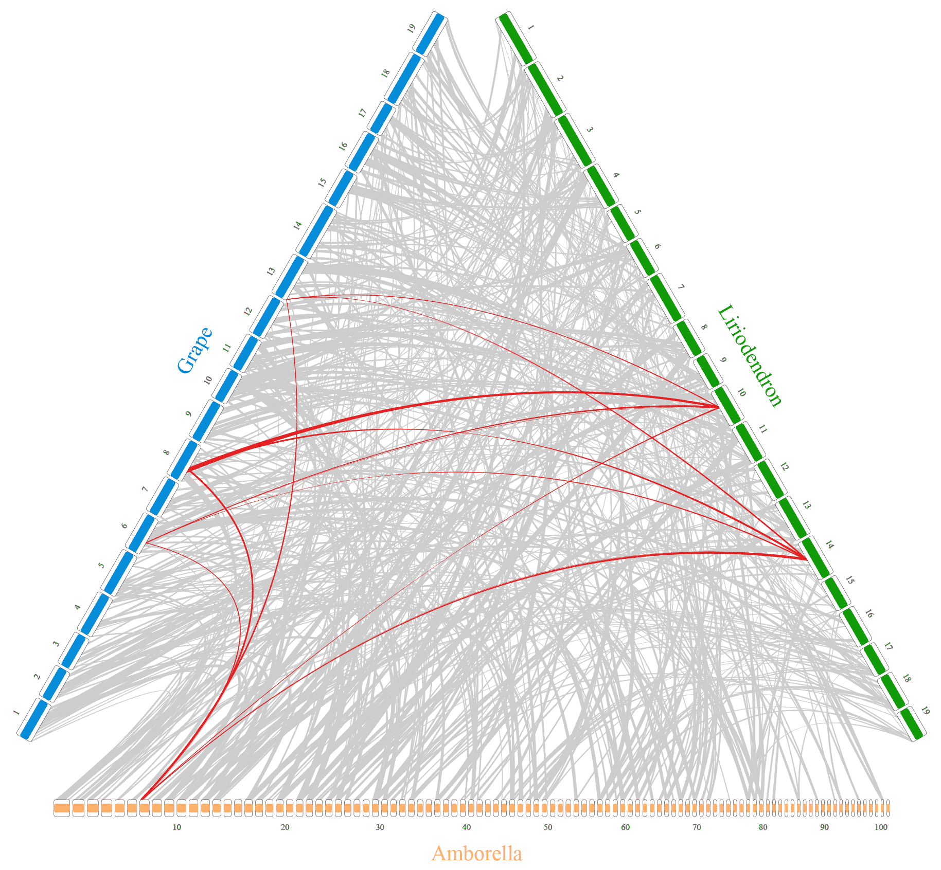 Basic Collinearity Plot