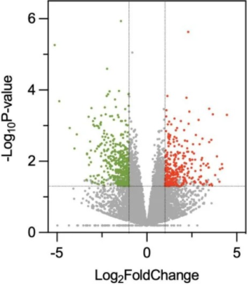 NetworkPlot DEMO