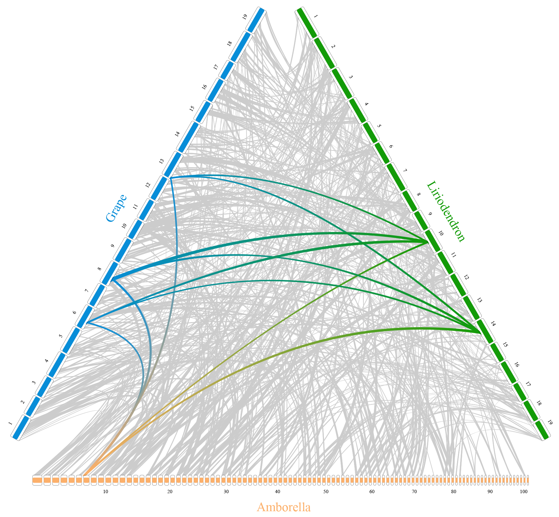 Collinearity Plot DEMO