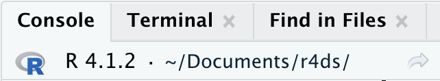 The Console tab shows the current working directory as ~/Documents/r4ds. 